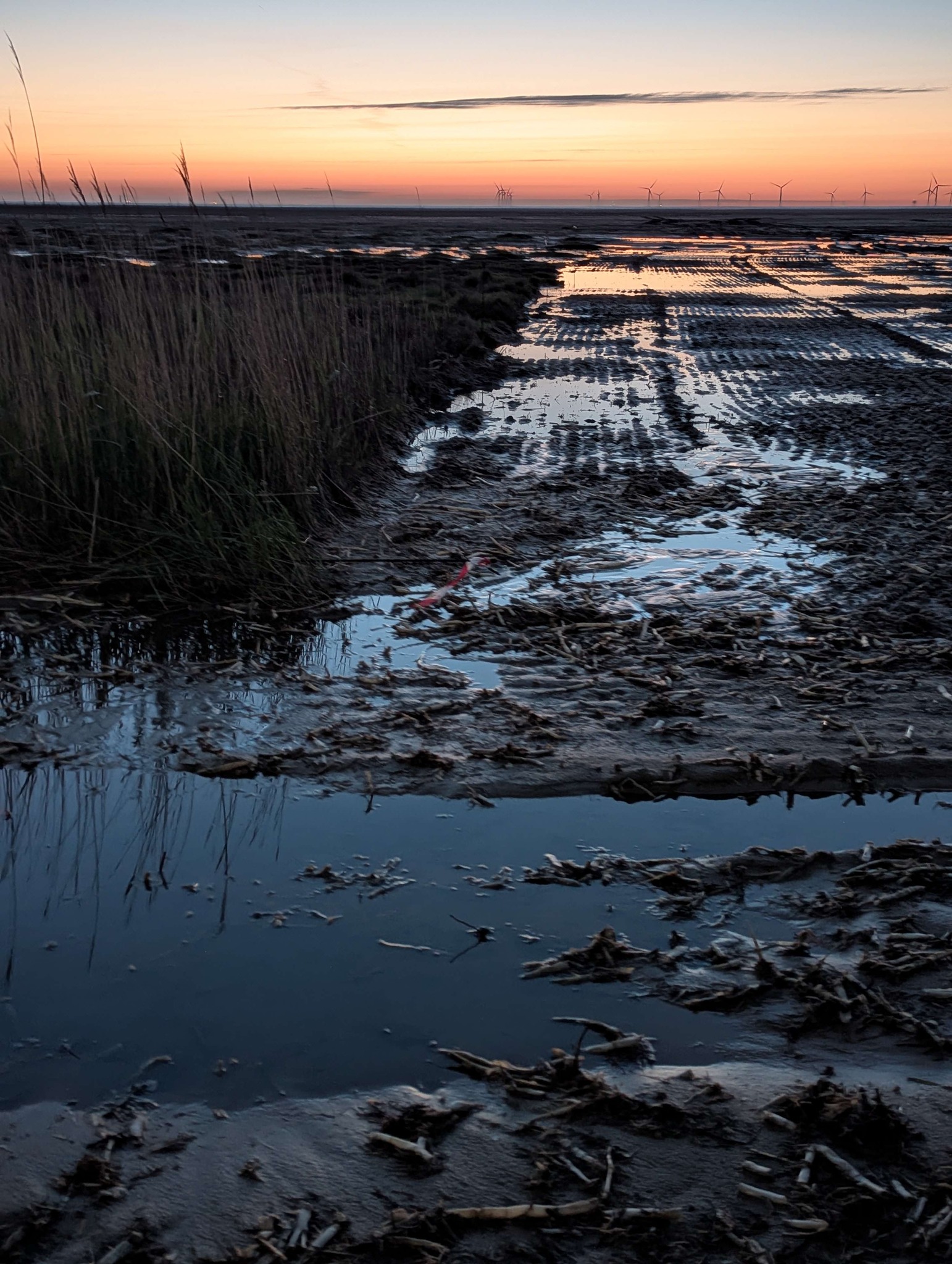 Sunset over the Hoylake marsh and Dee Estuary, with disturbed ground in the foreground reflecting the orange sky and grasses on the left
